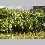 Italien2008 0256.JPG